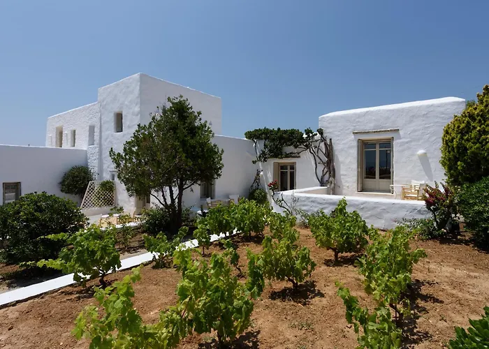 Vinea Paros Piso Livadi